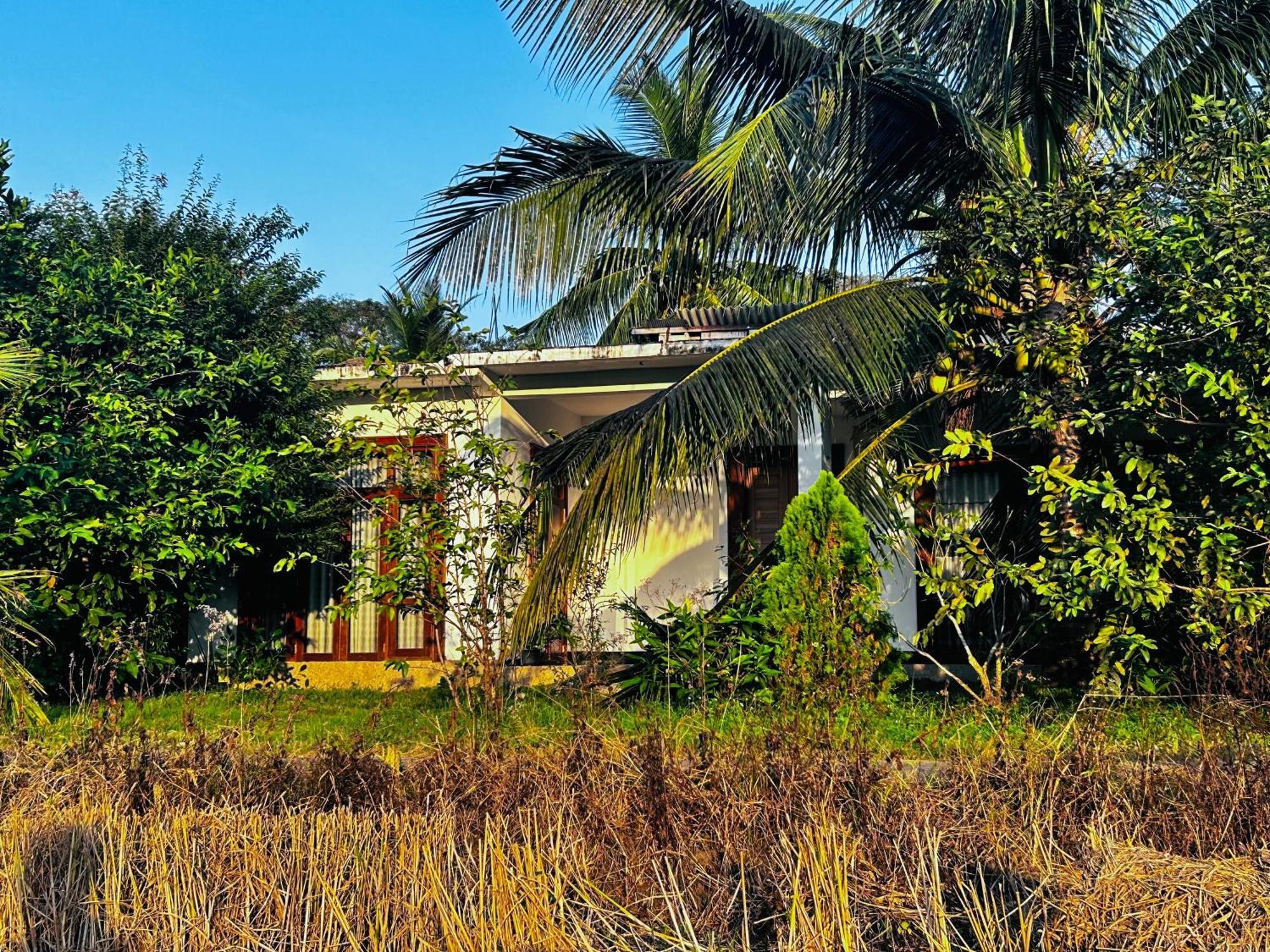 Windy Villa 波隆纳鲁沃 外观 照片